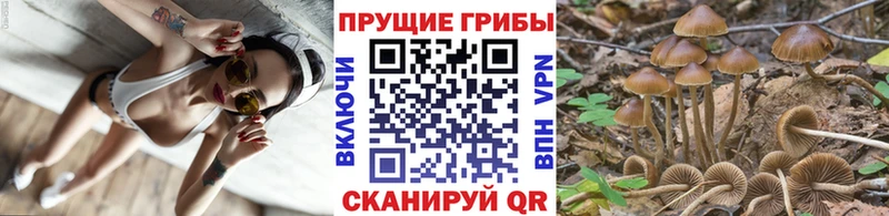 Псилоцибиновые грибы MAGIC MUSHROOMS  наркотики  Югорск 